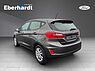 Ford Fiesta Family